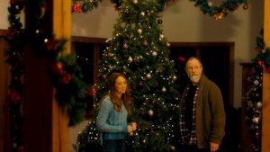 The Christmas Venue