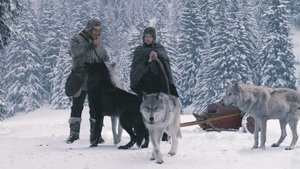 La Jeune Fille et les loups