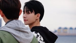 컬러러쉬