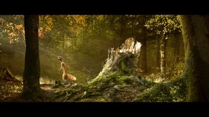 The Fox & the Bird