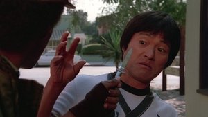 They Call Me Bruce?