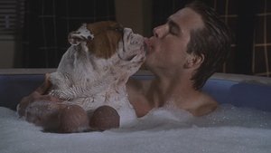 Van Wilder: Animal Party