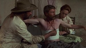 La guerra de Murphy
