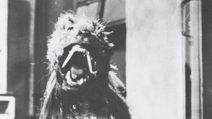 The Killer Shrews