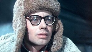 Dima Gorin's Career