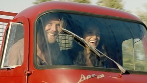 Tulipani: Love, Honour and a Bicycle