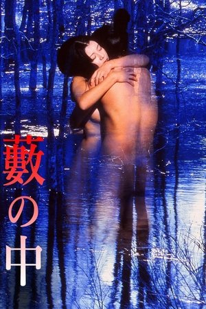 藪の中