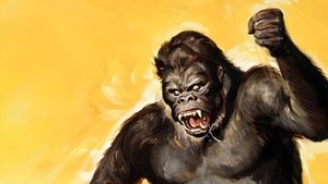 Konga