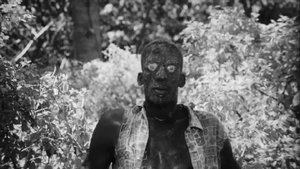 Zombies