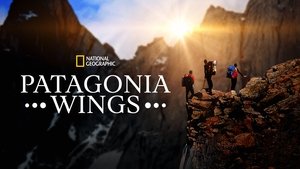 Las alas de la Patagonia