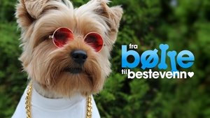 Fra bølle til bestevenn