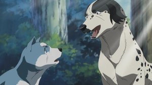 銀牙伝説ウィード