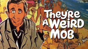 They're a Weird Mob