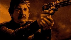 El justiciero de la noche