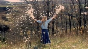 The True Nature of Bernadette