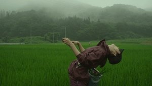 Little Forest: Summer/Autumn