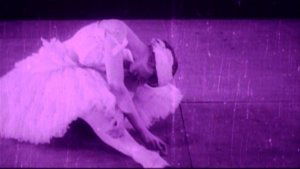The Dying Swan