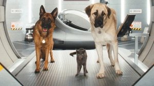 Como perros y gatos: La venganza de Kitty Galore