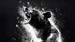 Oso vicioso