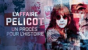 The Pelicot Rape Case