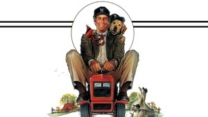 Aventuras y desventuras de un yuppie en el campo