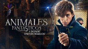 Animales fantásticos y dónde encontrarlos