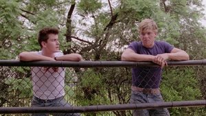 Los chicos de al lado