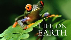 Life on Earth