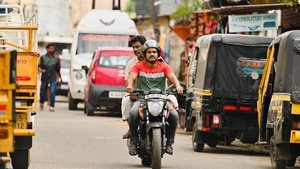സൗദി വെള്ളക്ക