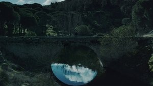 Strangers on the Road