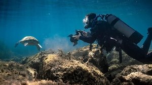 Méditerranée: L'odyssée pour la vie