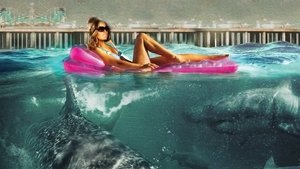 Jersey Shore Shark Attack