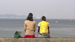 亀は意外と速く泳ぐ