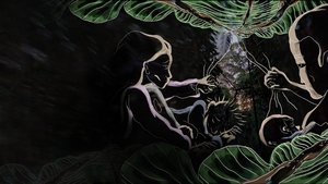 Perdidos en la Jungla