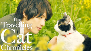 The Travelling Cat Chronicles