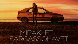 El milagro del mar de los Sargazos