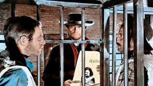A Few Dollars for Django