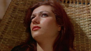 In 80 Betten um die Welt