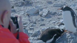 Let's go to Antarctica!