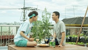 Made on the Rooftop