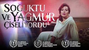 Soğuktu ve Yağmur Çiseliyordu