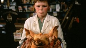 The Butcher Boy (Contracorriente)