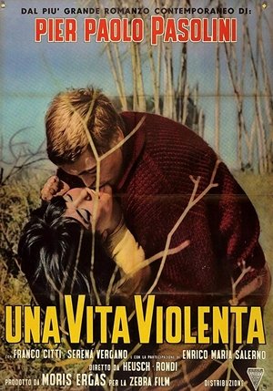 Una vida violenta