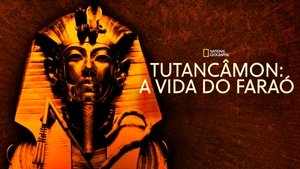 King Tut In Color