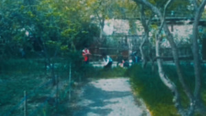 Nostalgia of Everything