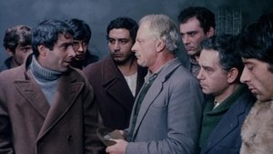The Seven Cervi Brothers