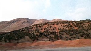 سرهای بریده لبخند می‌زنند.