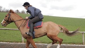 Caballo ganador