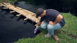 Bestseller på vrangen