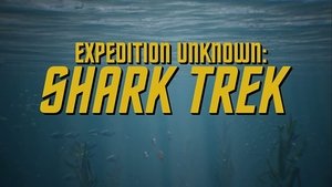 Expedition Unknown: Shark Trek
